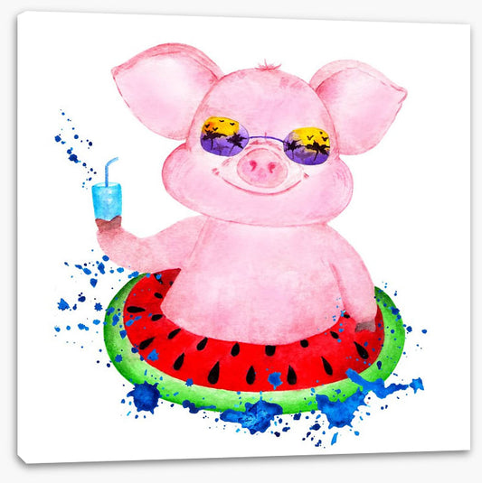 Piggy in the pool