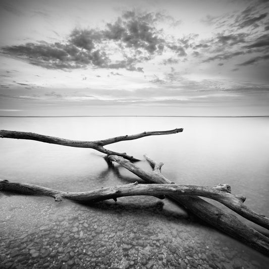Shallow shadows