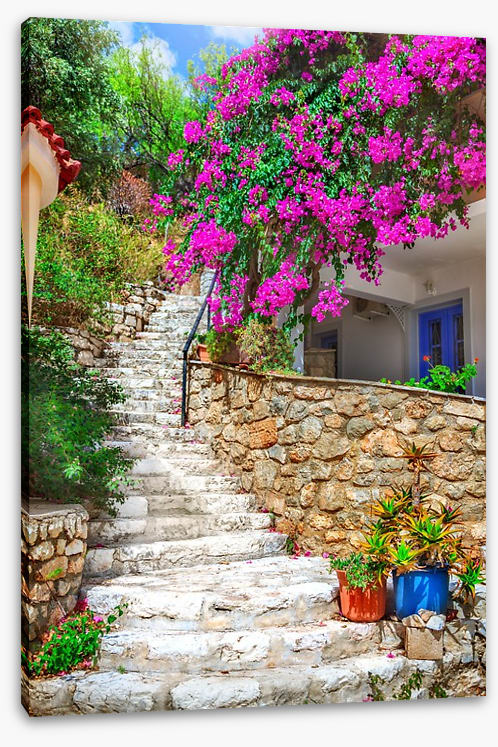 The bougainvillea steps