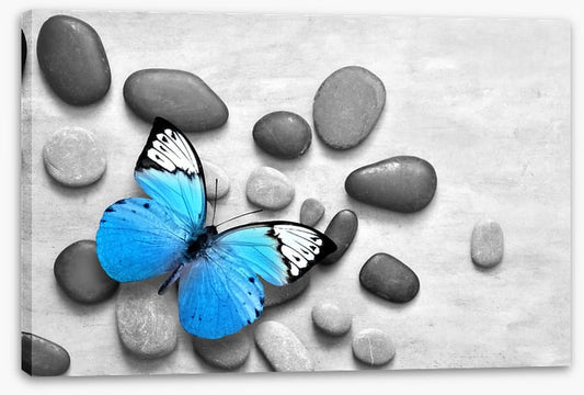 Blue butterfly stones