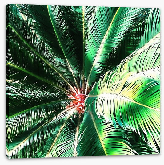 The coconut tree