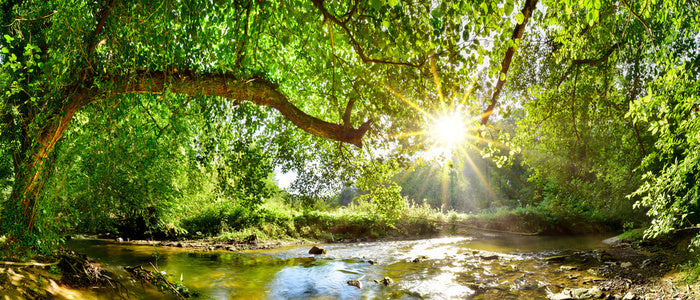 Idyll interlude
