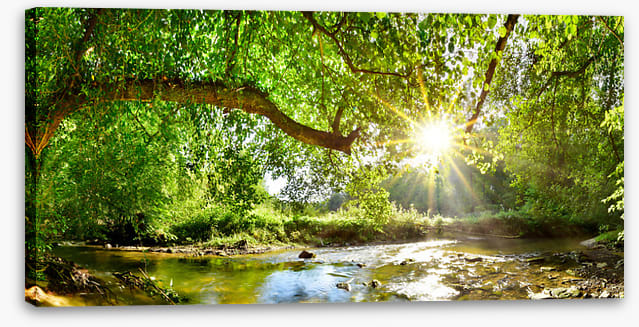 Idyll interlude