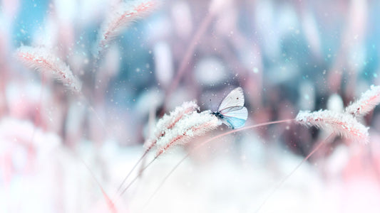 A chilly landing