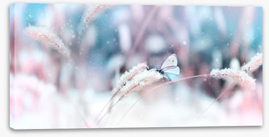 A chilly landing