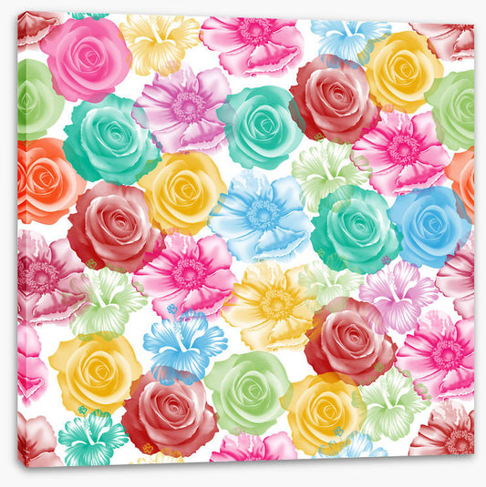 Rainbow of roses