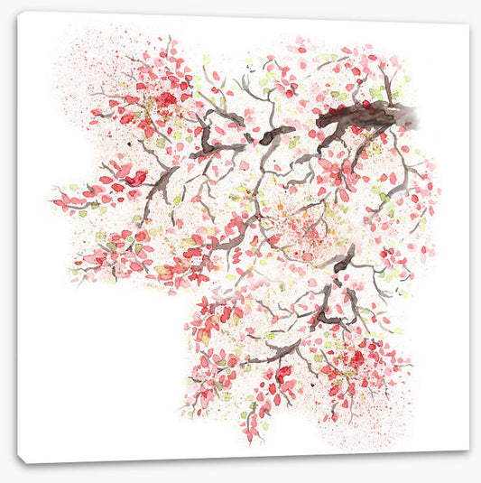 Spring sakura blossom