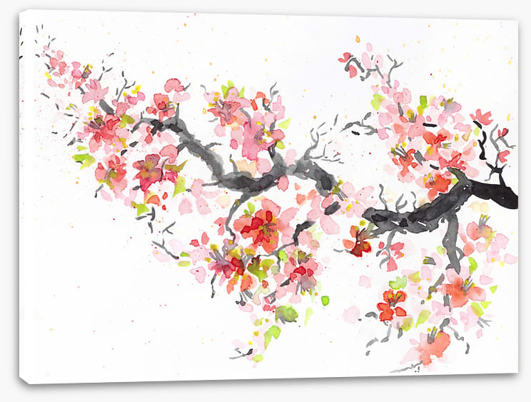 Spring sakura bloom