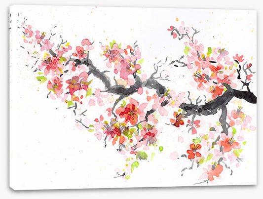 Spring sakura bloom