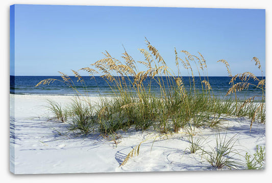 Sea grass