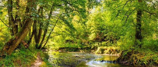 Babbling brook