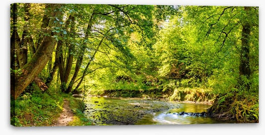 Babbling brook