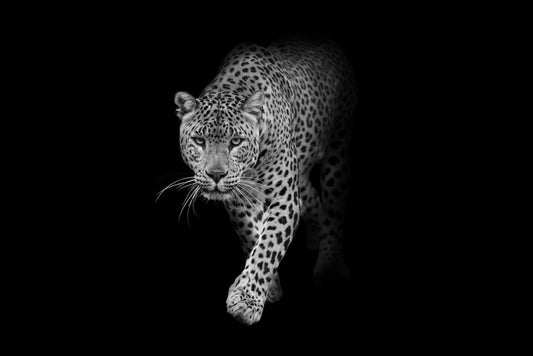 Silent but deadly