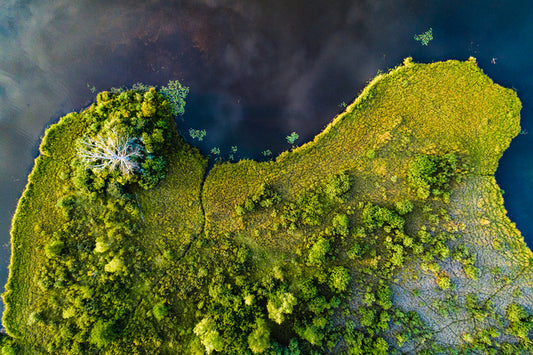 Land on the lake