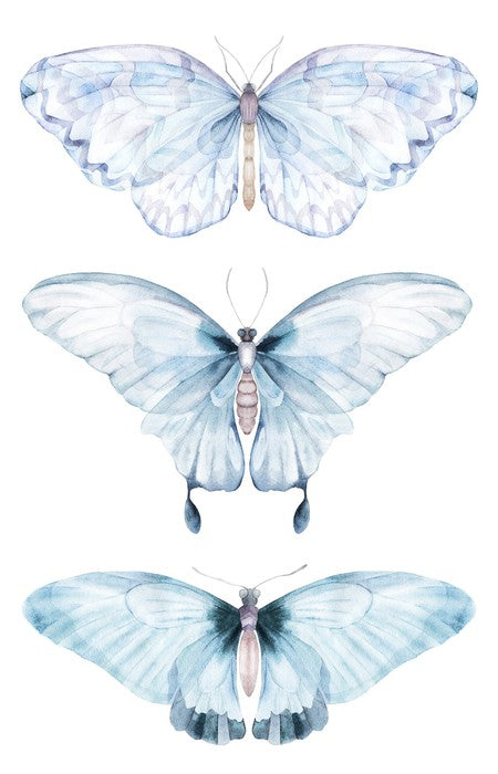 Barely there butterflies