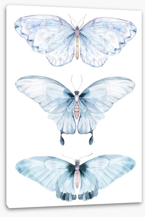 Barely there butterflies