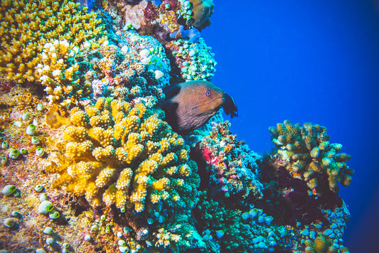 Underwater