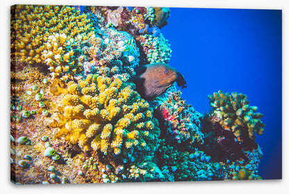 Underwater