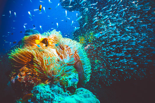 Underwater