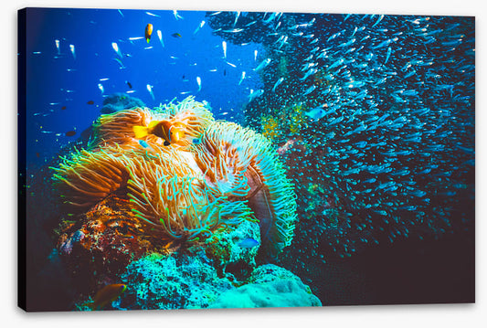 Underwater