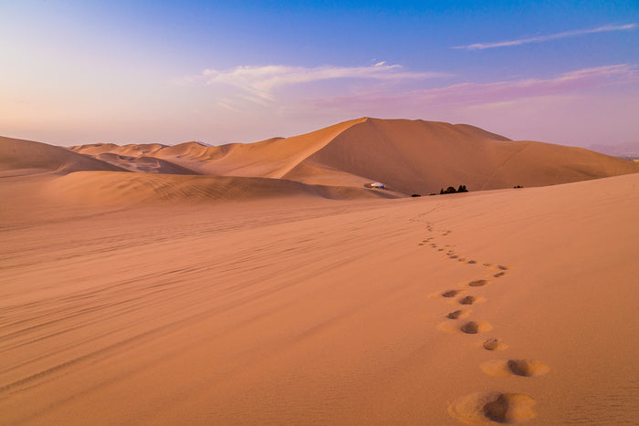 Desert