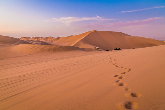 Desert