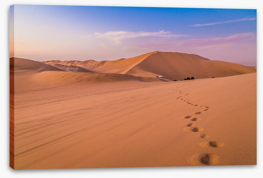 Desert