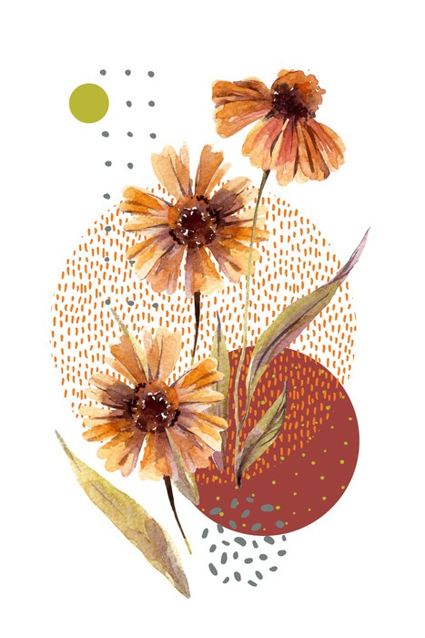 Aster autumn