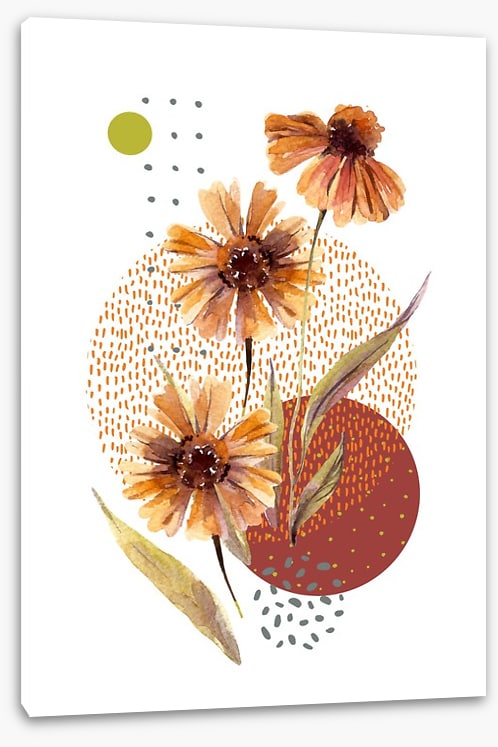 Aster autumn