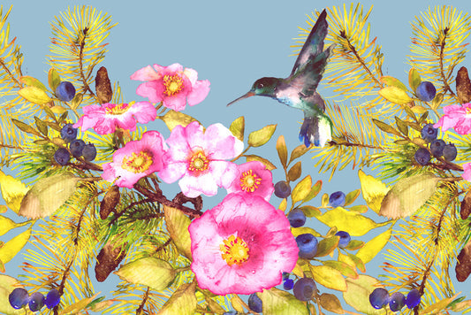 Wild rose hummingbird