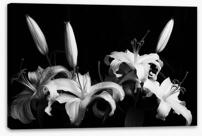 Three late lilies