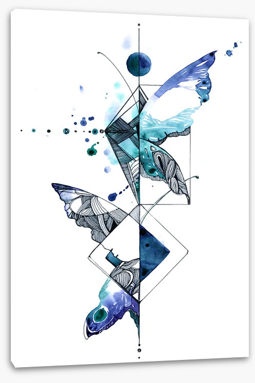 Wings of wonder