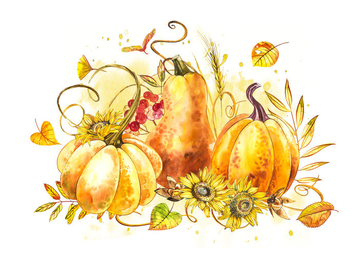 The pumpkin patch