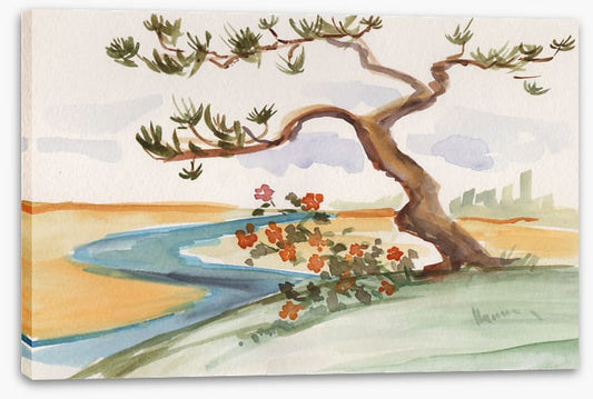 Pine by the stream