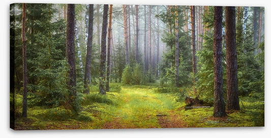 Green forest glade