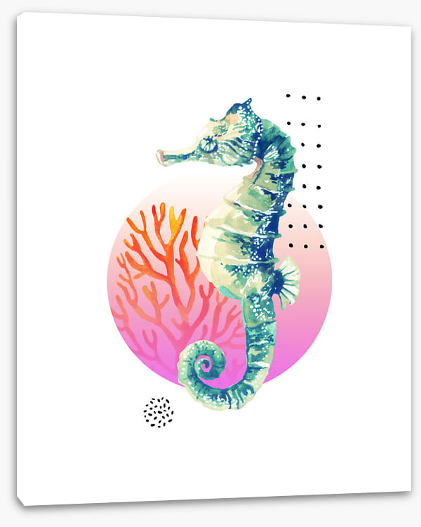 Setting sun seahorse