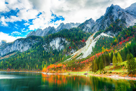 Down to the lake
