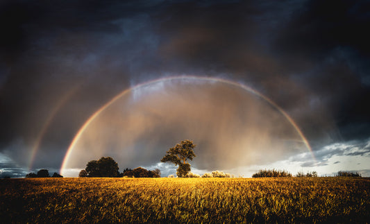 Rainbow in the storm