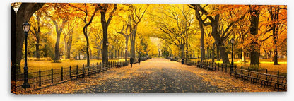 Central Park fall panorama
