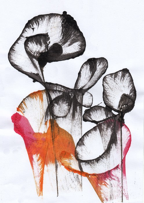 Nocturnal bloom