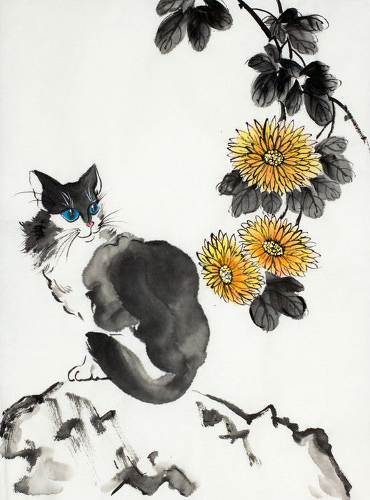 The chrysanthemum cat
