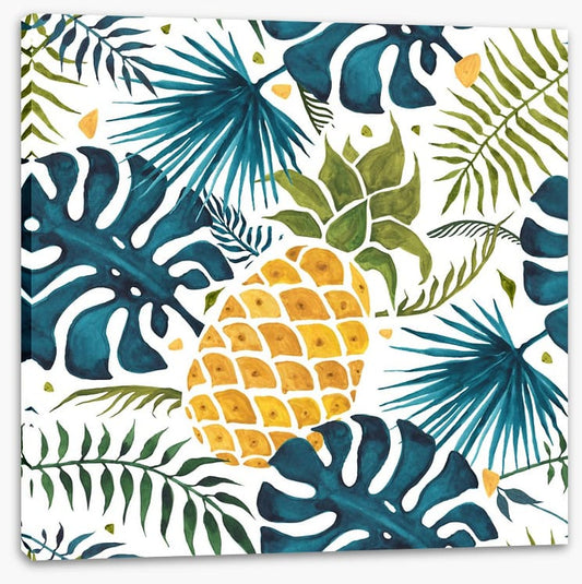 Pineapple palms
