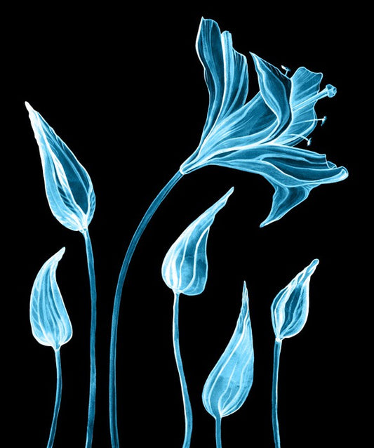 Luminous lilies