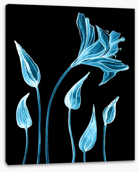 Luminous lilies