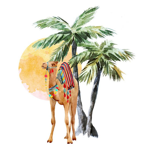Hump day