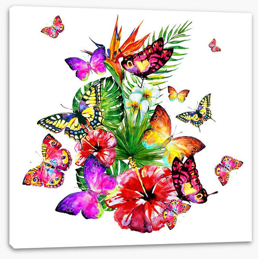 Butterfly brouhaha