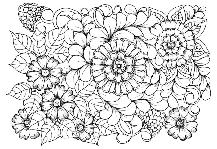 Colour me blooms
