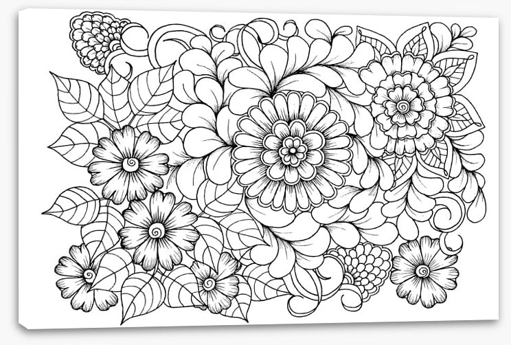 Colour me blooms