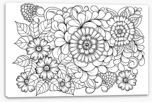 Colour me blooms