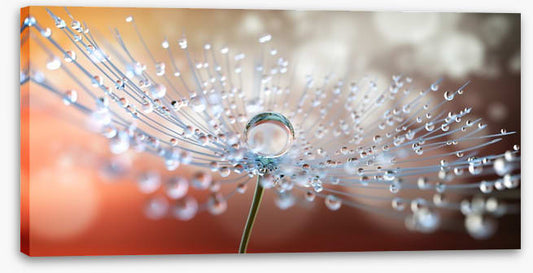 One big dew drop